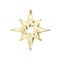 Golden star scatter glitters. Gold Star with sparkles. Shiny Christmas decoration. Vector illustration isolated on white