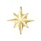 Golden star scatter glitters. Shiny gold star with sparkles. Vector illustration isolated on white