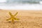 Golden starfish, star on sand beach with sea water background. Vacation concept.