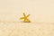 Golden starfish, star on sand beach with sea water background. Vacation concept..