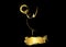 Golden stars prize concept Emmy Award Silhouette statue icon. Films and cinema symbol stock Academy award vector isolated or black