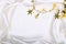 Golden stars and spangles on white silk