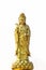 Golden statue of the goddess of mercy  guanyin or guan yin standing on the lotus isolated on white background. buddhist and