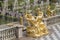 Golden statues of the Grand Cascade in Peterhof Palace St Petersburg Russia