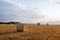 Golden straw glowed in the sunlight, forming a mound in field.