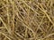 Golden Straw Textured Background