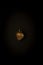 Golden strawberry on a black background, stylish minimalistic composition with copyspace