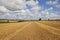 Golden stubble field