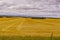 Golden stubble field near Glenburn, Saskatchewan, Canada