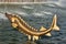 Golden sturgeon in the fountain at VDNH