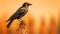 Golden Sun Crow: A Poetic Monochromatic Portrait In Warm Colors