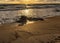 Golden Sunbeams and Shadows on the Beach