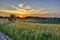 Golden sunbeams of summer sunset over flowering meadow and hills