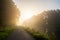 Golden Sunburst over Mist-Enshrouded River Path