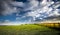 Golden sunlight on fields with blue sky and clouds