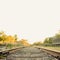 Golden Sunlit Railroad Tracks Stretching into the Distance