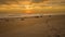 Golden Sunrise with Coquina Rocks and Footprints