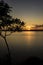 Golden sunrise over the water of Uruguay River and a tree at left side. El Palmar, Entre RÃ­os, Argentina