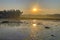 Golden sunrise over waterlily pond