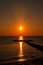 A golden sunrise in the sea with birds. Fabulous colors of the sunrise. Two ships on the horizon stand in line for the entrance