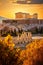 Golden Sunset at Acropolis: Majestic Parthenon in Athens, Greece