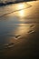 Golden sunset foot prints on beach