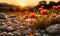 Golden sunset illuminating a wild meadow with rocks and wildflowers, a serene rural landscape scene