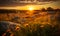 Golden sunset illuminating a wild meadow with rocks and wildflowers a serene rural landscape scene