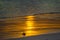 Golden sunset on the ocean shore. The sun is reflected in the coastal wave