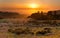 Golden sunset over California coastal meadow and Pacific Ocean