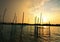 Golden Sunset over Chilka lake ,orissa.