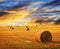 Golden sunset over farm field