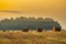 Golden sunset over farm field with hay bales. Autumn landscape
