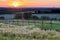 A golden sunset over the rolling hills in Banholt, south Limburg in the Netherlands creating holiday vibes