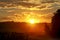 Golden sunset over sunflower fields, mystical clouds in the sky