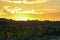 Golden sunset over sunflower fields, mystical clouds in the sky