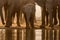 A golden sunset photograph of a family herd of elephant drinking at a water hole