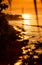 Golden sunset/sunrise shoreline