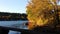 Golden sunshine lake reflection