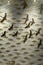 Golden swan flock flying Mosaic