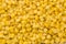 Golden sweetcorn grains