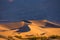 Golden Swirls of Dunes Crest in front of Mountains