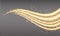 Golden swoosh, magic wave. Gold trail isolated on transparent background. Luminescent waved trail with bright bokeh and