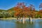 Golden Taxodium distichum stand majestically in a gorgeous lake against the backdrop of the Caucasus Mountains in the fall. Autumn