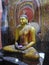 The golden temple of Dambulla is world heritage site and has a total of a total of 153 Buddha statues, three statues of Sri Lankan