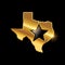 Golden Texas Map Vector Sign