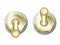 Golden Toggle Switch Button