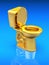 Golden toilet bowl