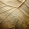 Golden Toned Fig Leaves: A Delicate And Intricate Close-up