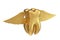 Golden Tooth with Angel Wings. 3d Rendering